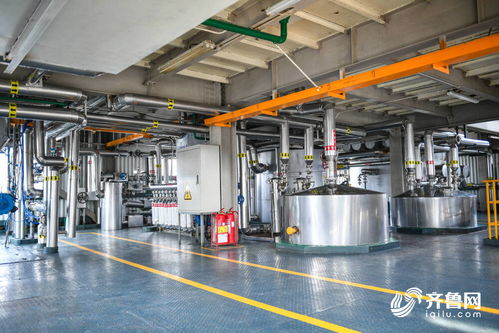 濱州 糧油金三角 糧安記者行走進香馳控股 渤海實業